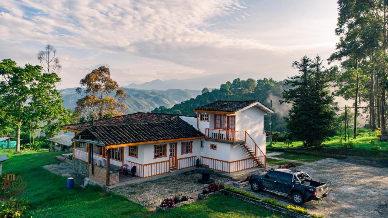 Ecohotel Entrebosques 萨兰托 外观 照片
